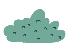 Krzak