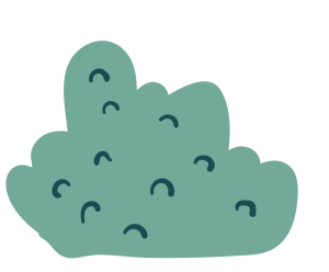 Krzak
