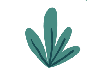 Krzak